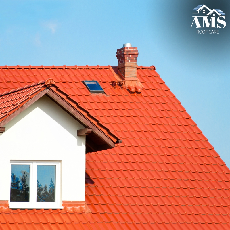 Image presents Roof Painting Near You